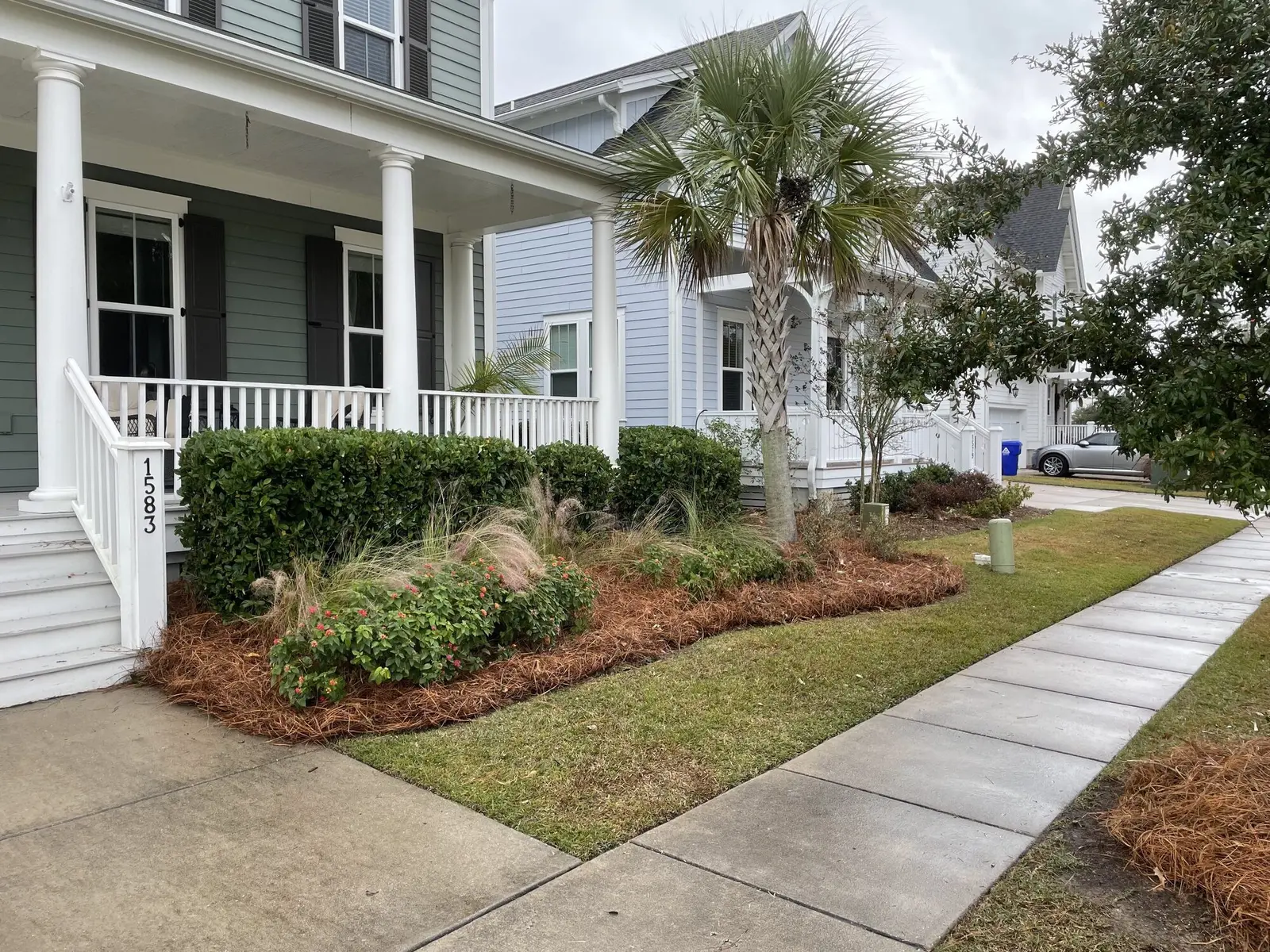 A front entry bed with fresh pine straw mulch, trimmed hedges and a young palm