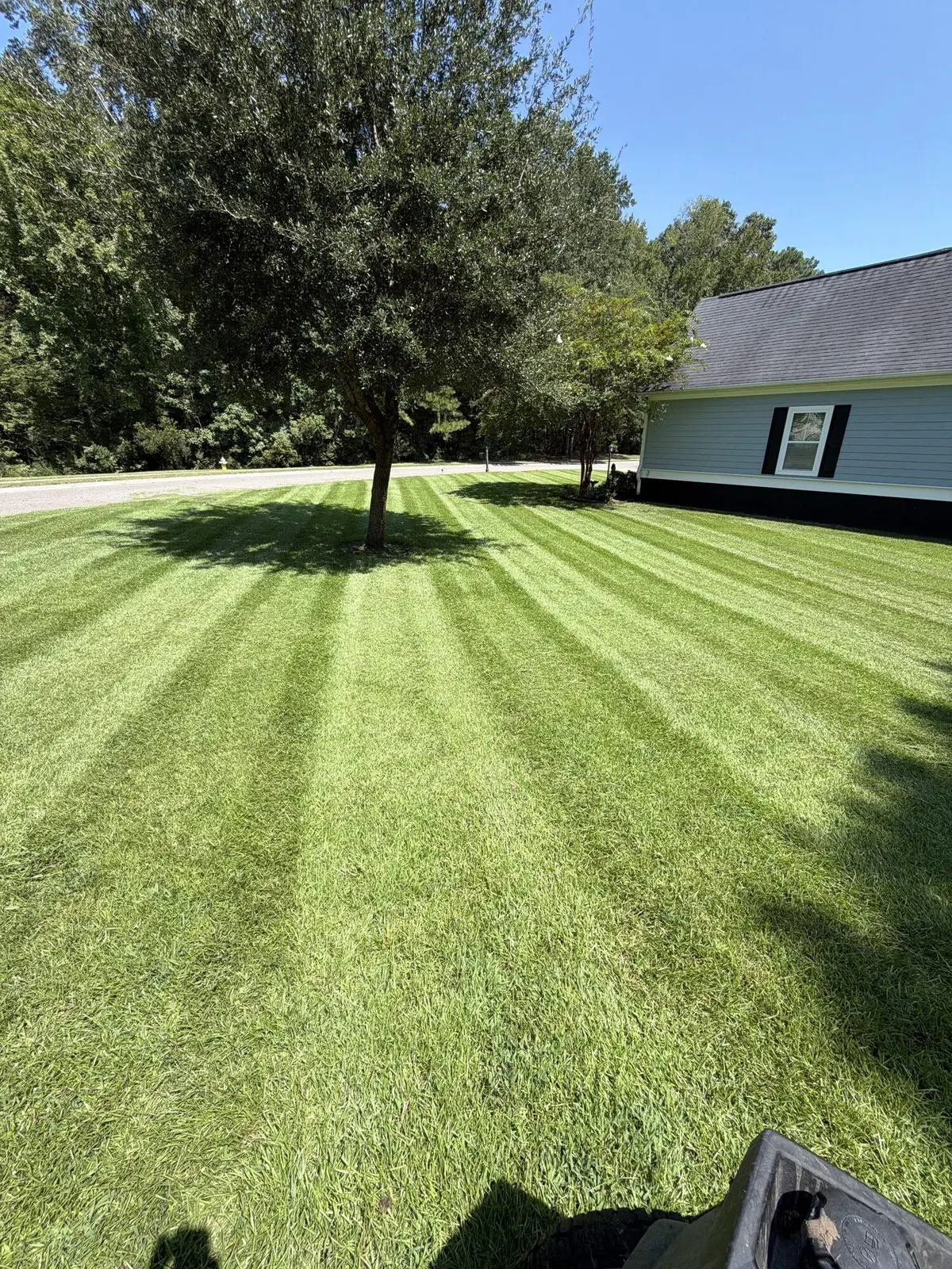 A wide striped suburban front lawn seen from the mower