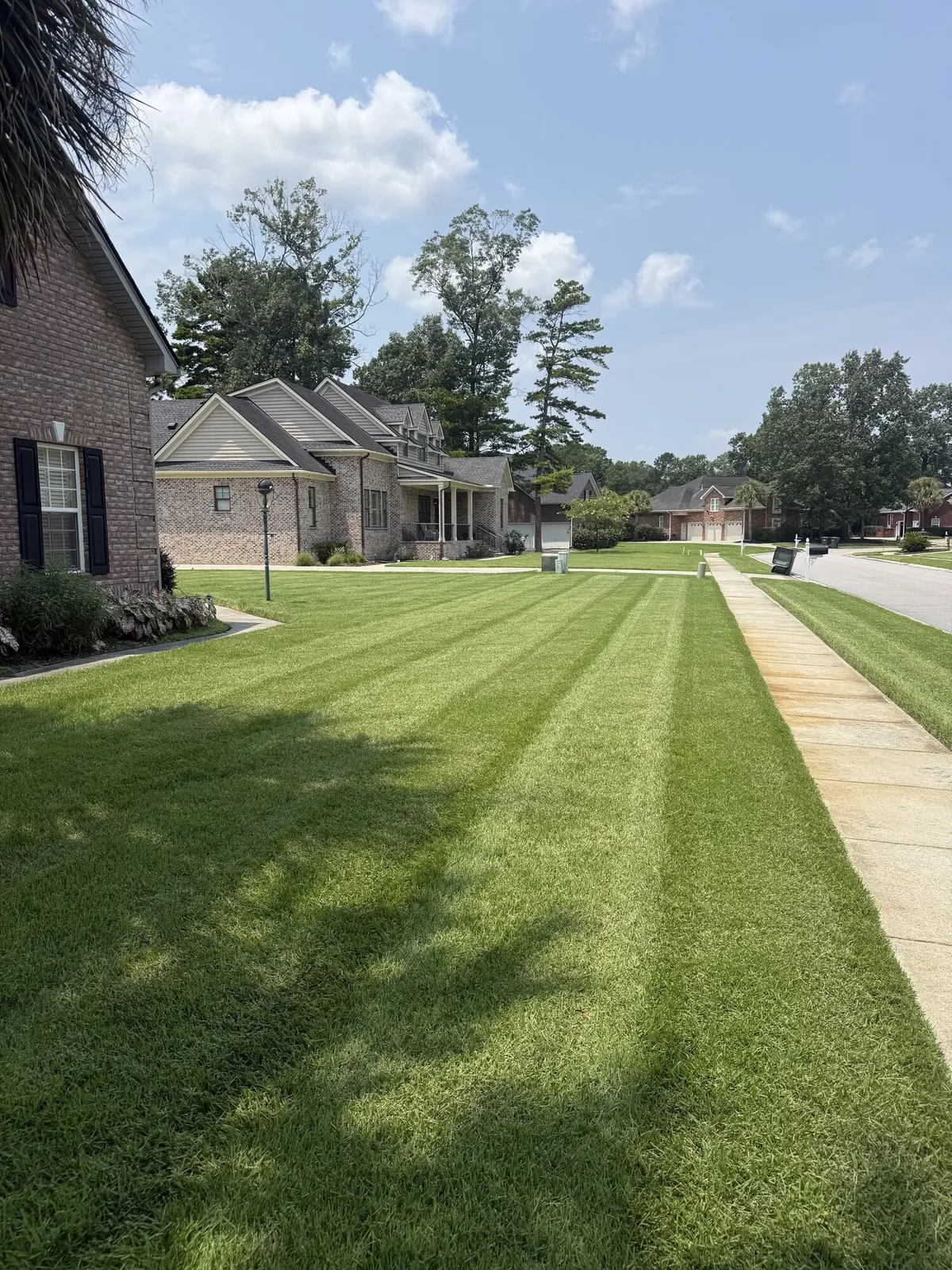 A striped lawn in front of a large brick house