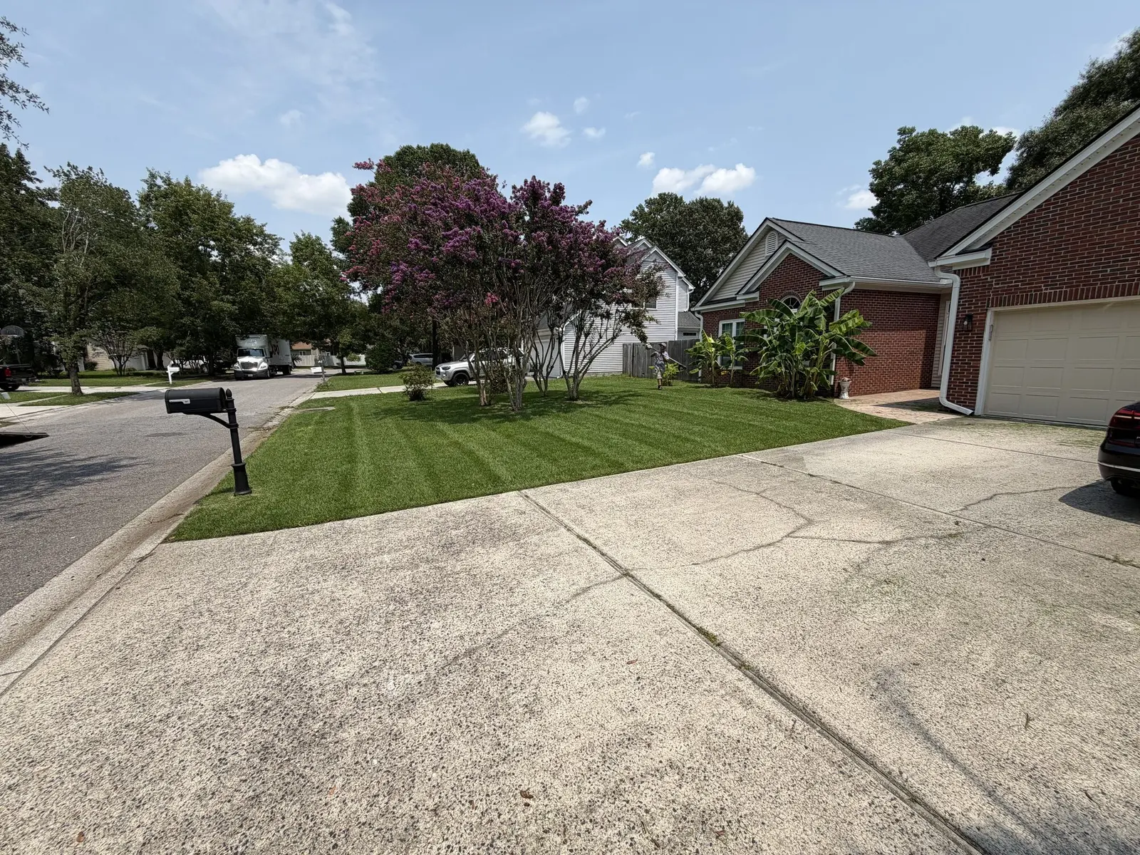 A crew member trimming near banana plants and a crepe myrtle on a striped lawn