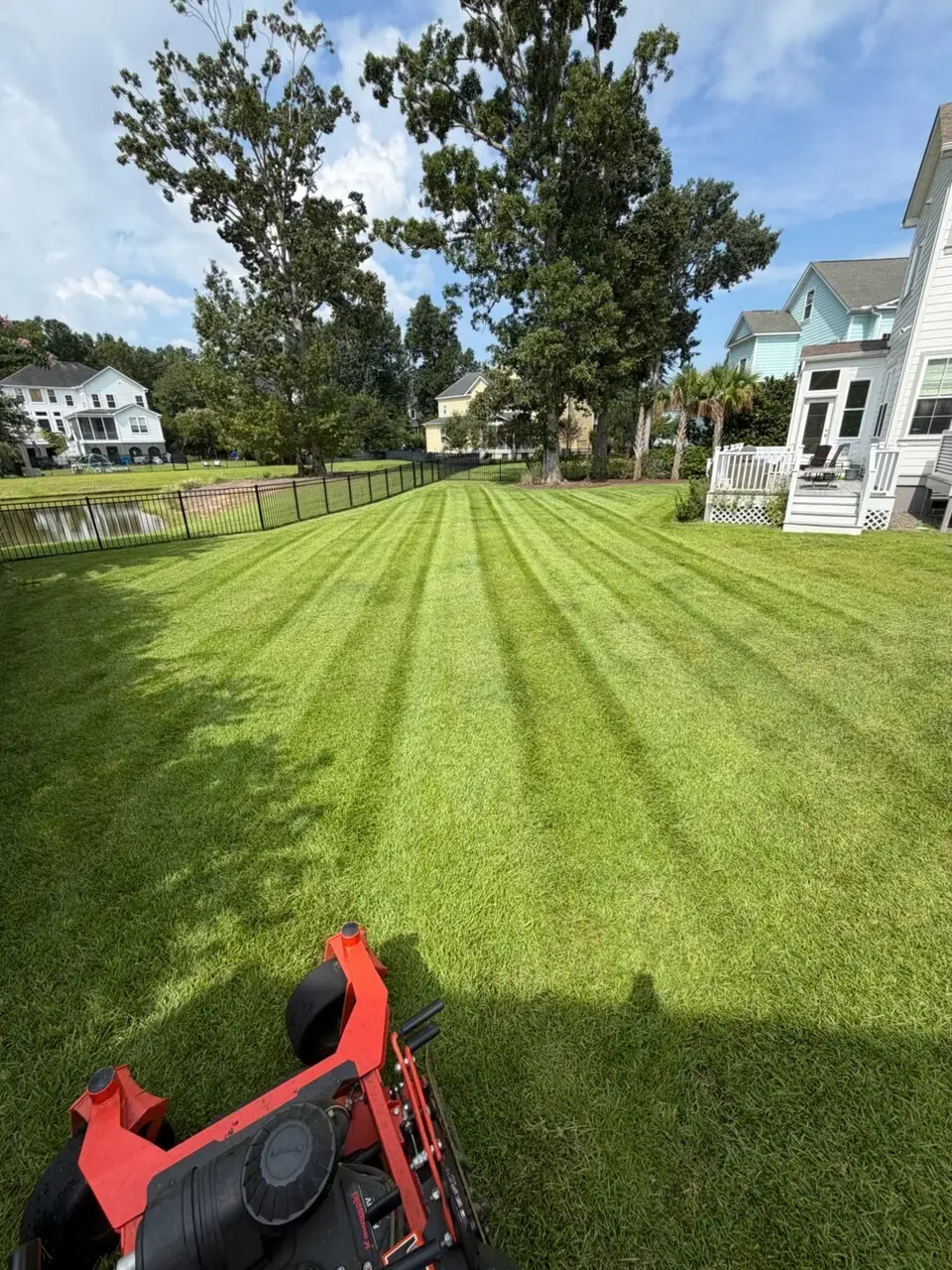 A striped backyard lawn beside a pond