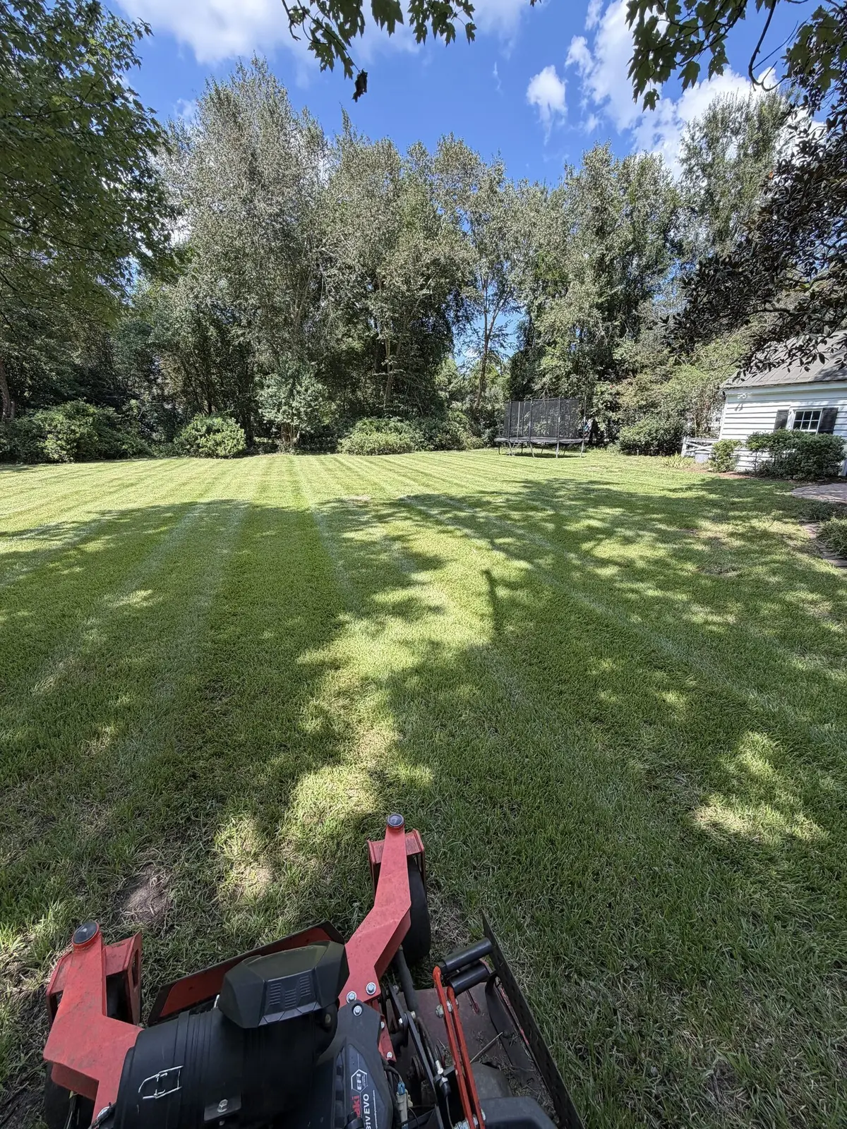A striped backyard lawn with a trampoline under tall trees