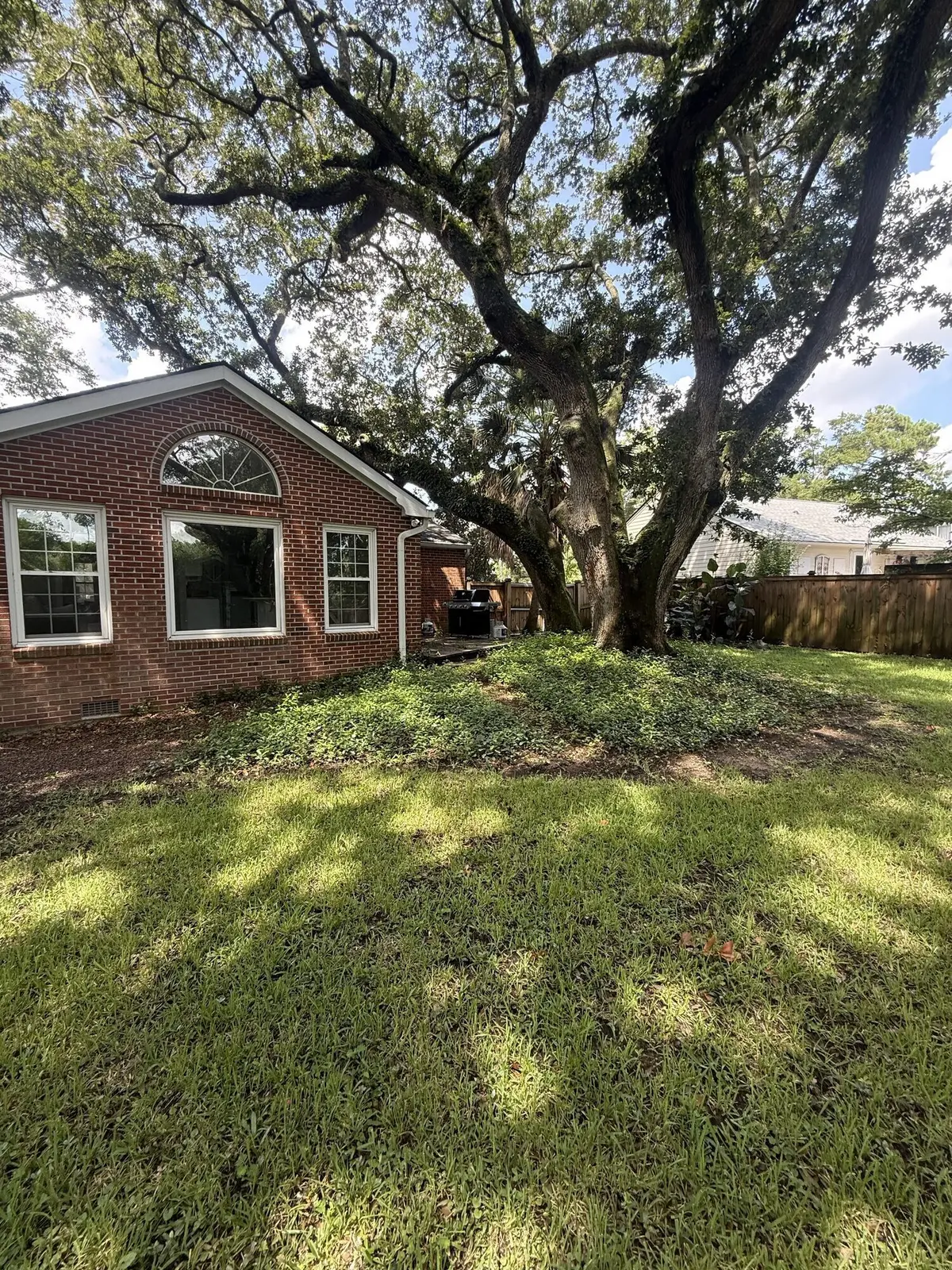 A shaded backyard lawn under a large live oak