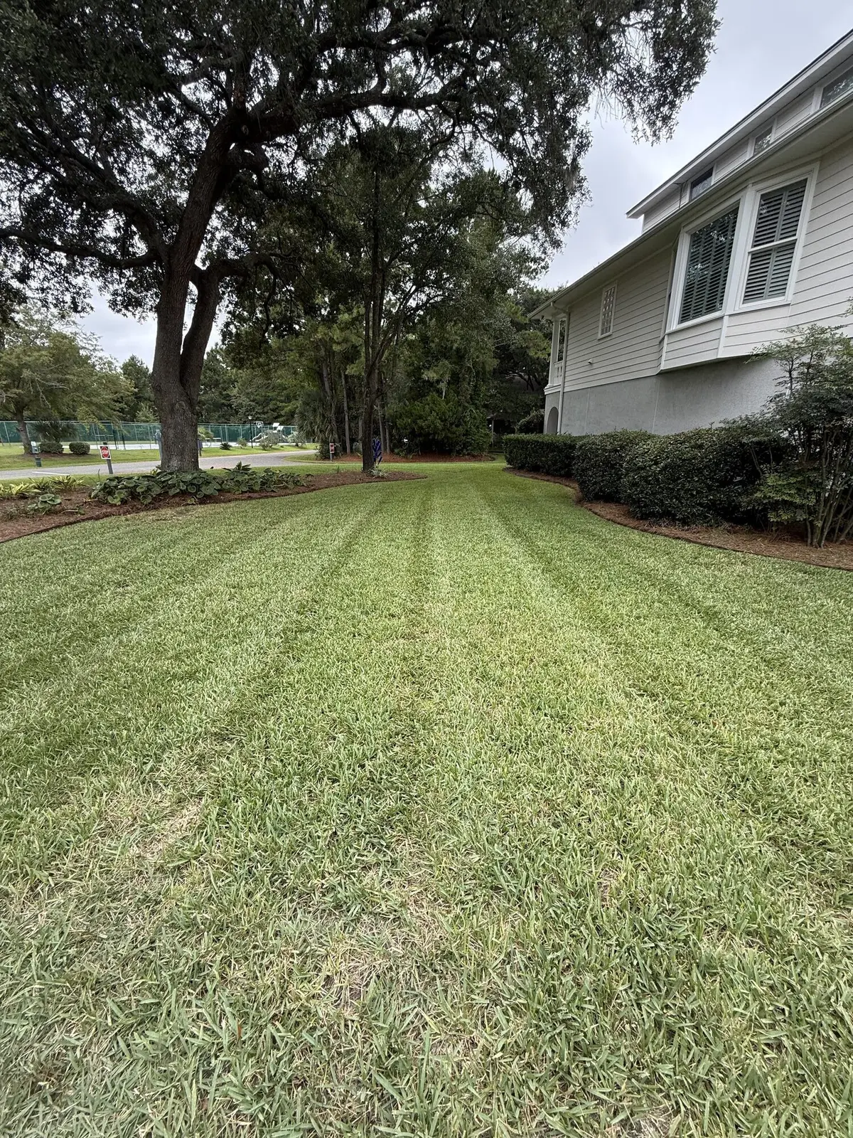 A striped side lawn beside a shingle style coastal home