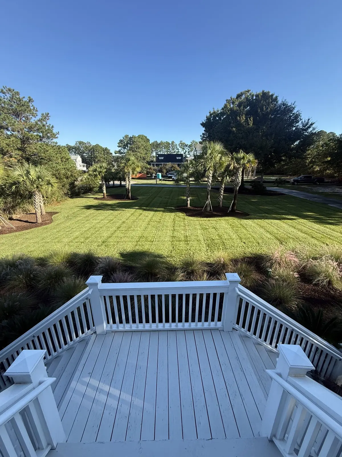 A deck view over a wide striped common lawn with newly planted palm trees on Daniel Island