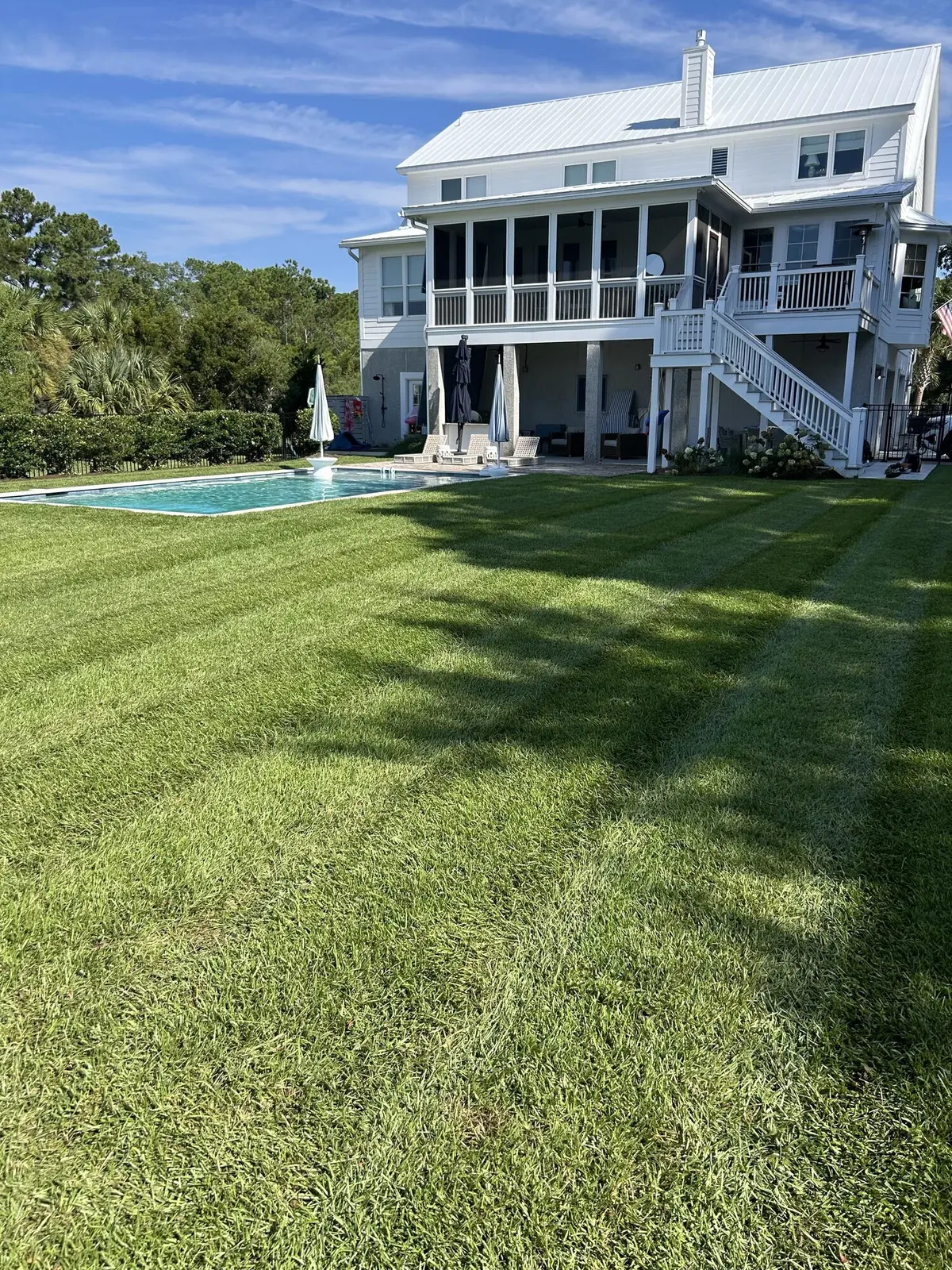 A striped lawn around a backyard pool with a palm tree