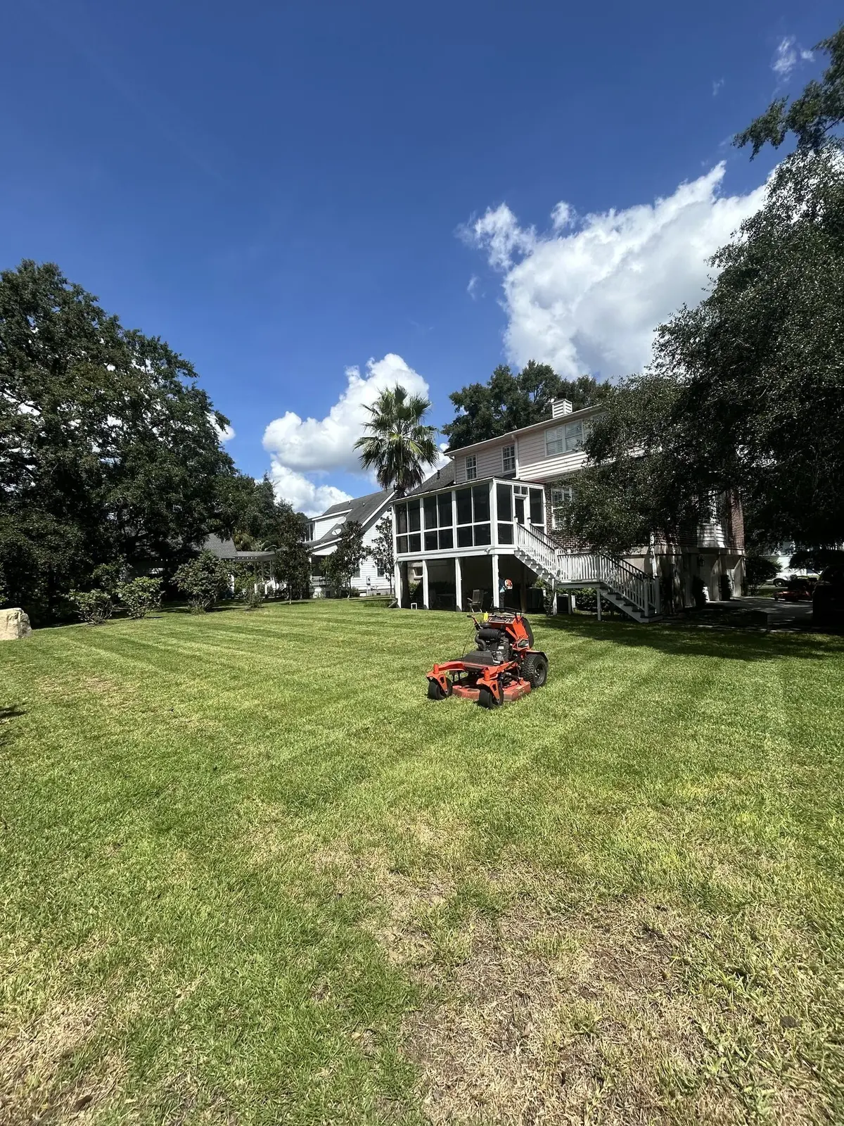 A striped backyard lawn with trees and a play set