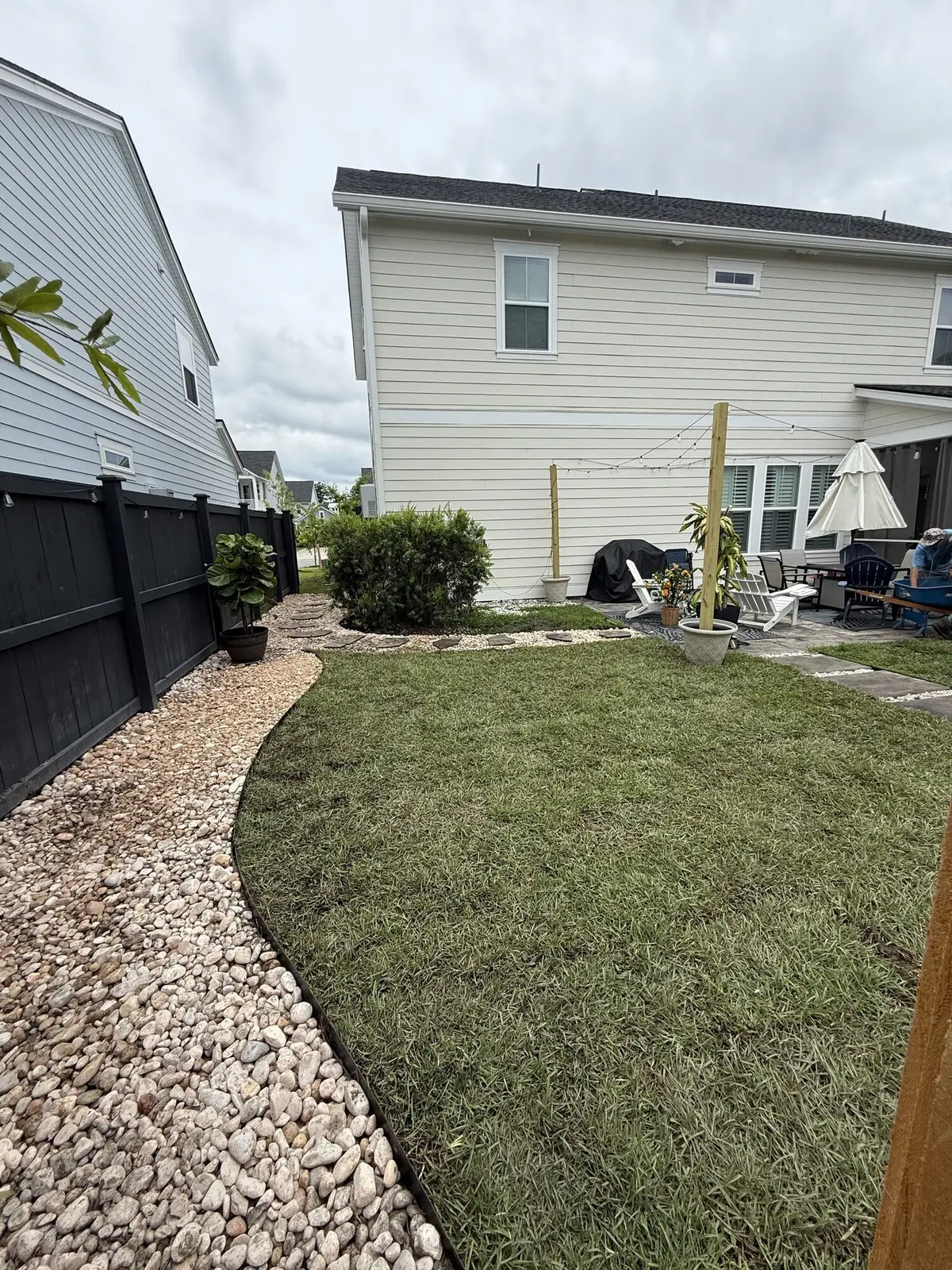 A modern backyard landscape bed with rock edging and fresh plantings